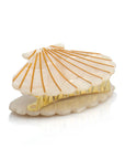 CELLULOSE METALLIC SEASHELL CLIP